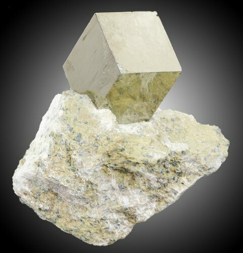 Pyrite Cube In Matrix - Navajun, Spain #31123